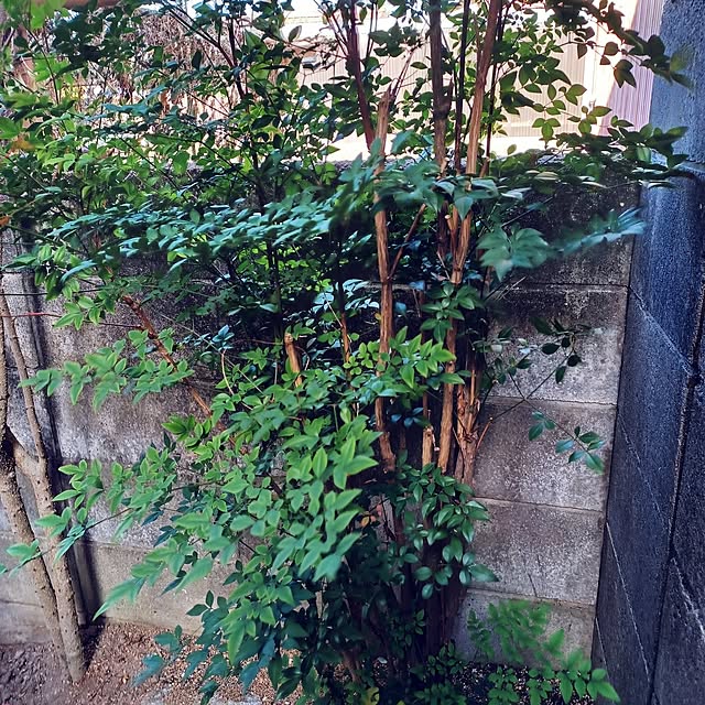 hiro-yさんの部屋