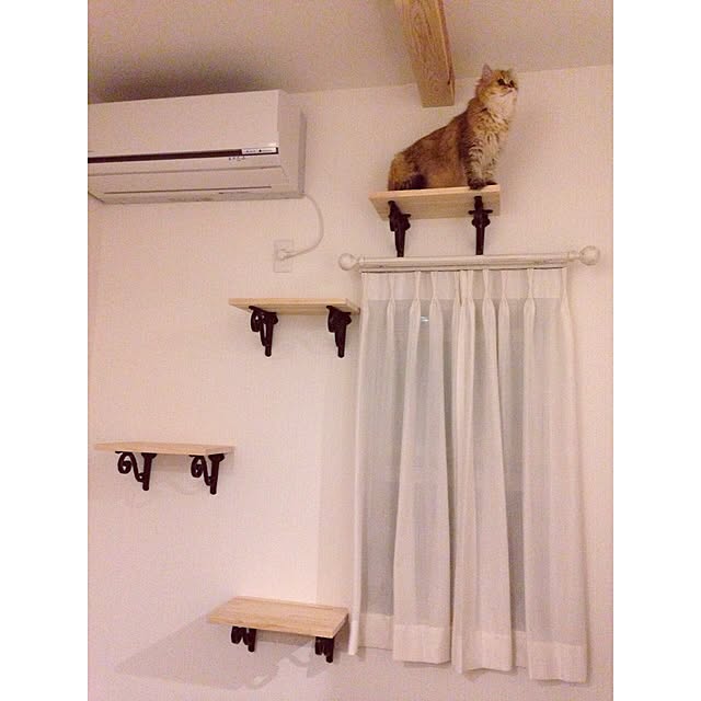 locomocobambiさんの実例写真