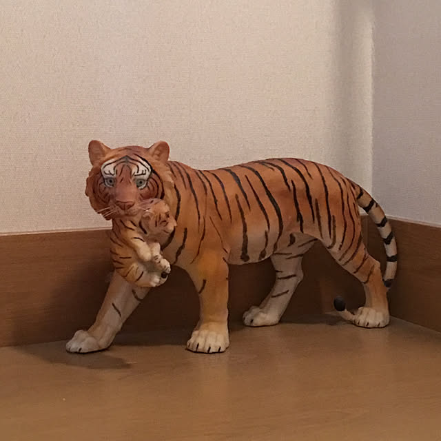 doragon_pansarさんの実例写真