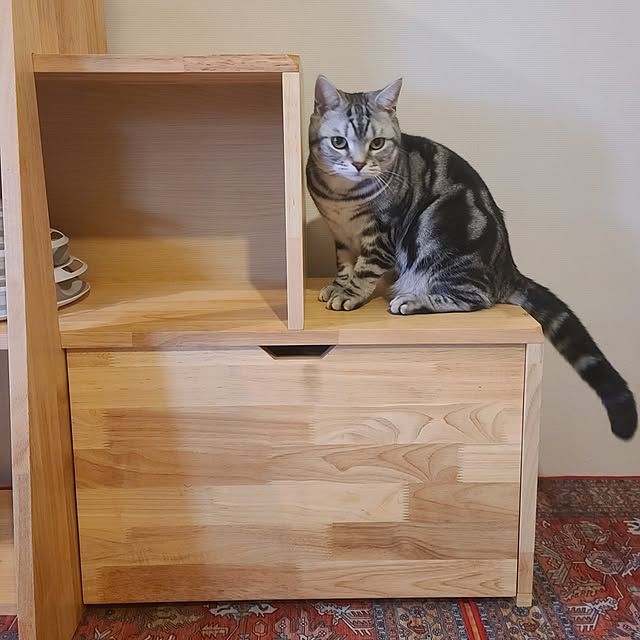 lovepeaceさんの部屋