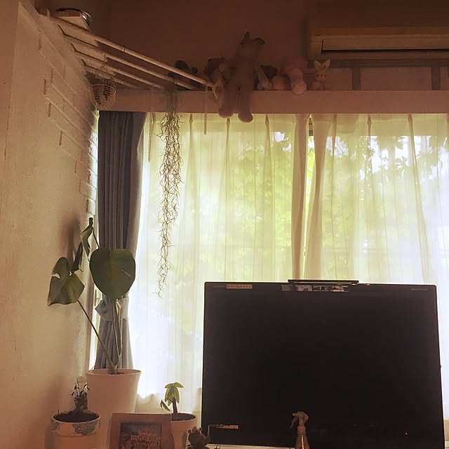 chauさんの実例写真
