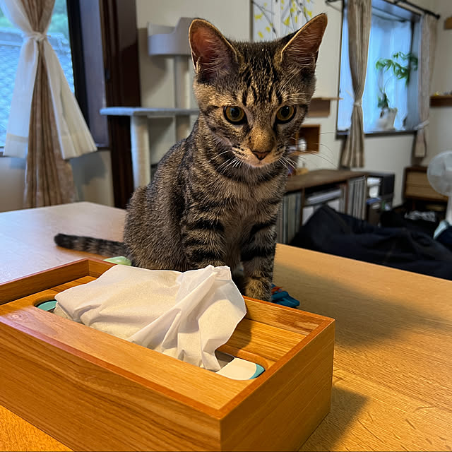 kuzumeganeさんの実例写真