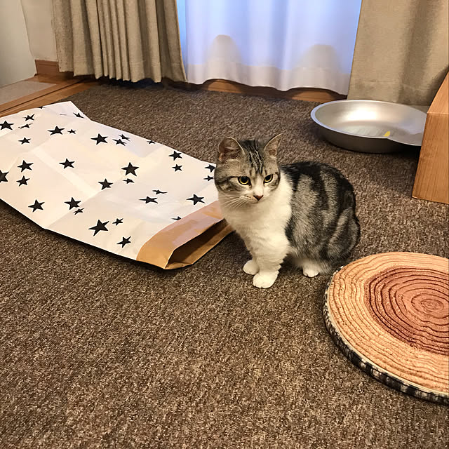 RIKAYURAさんの実例写真