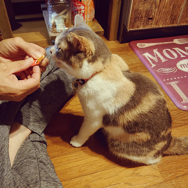 fukuさんの実例写真