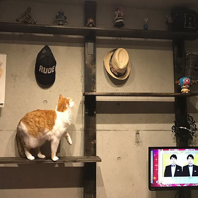 mashさんの実例写真