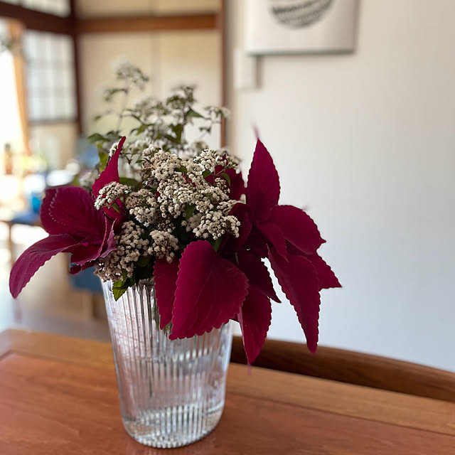 buchiさんの部屋