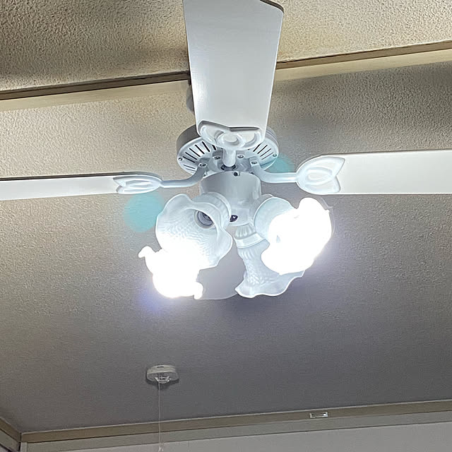 kazupiさんの部屋