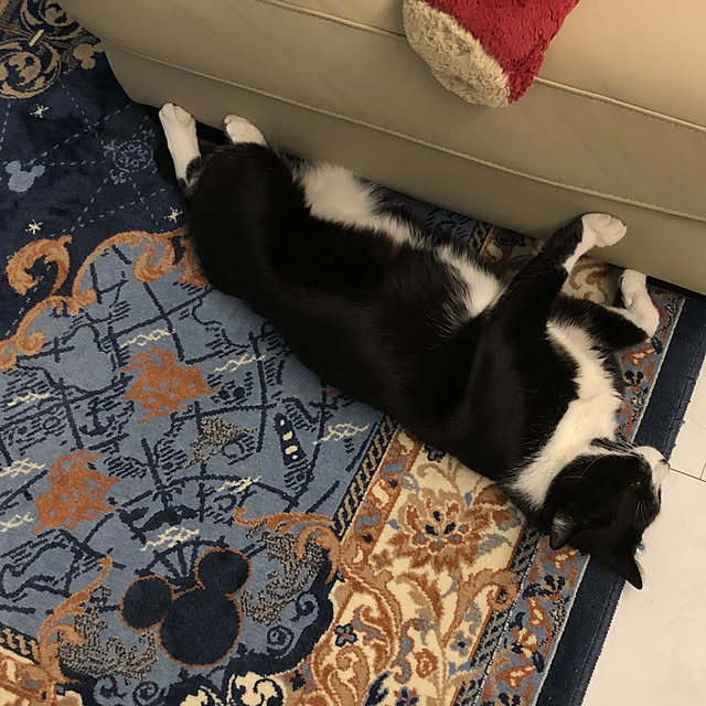 Fujikoさんの部屋