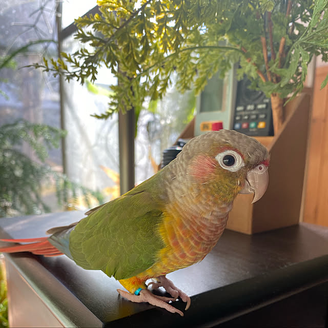 ohanaさんの実例写真