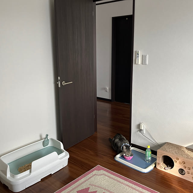 ronさんの実例写真