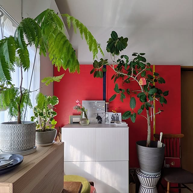 atarasiioutiさんの実例写真