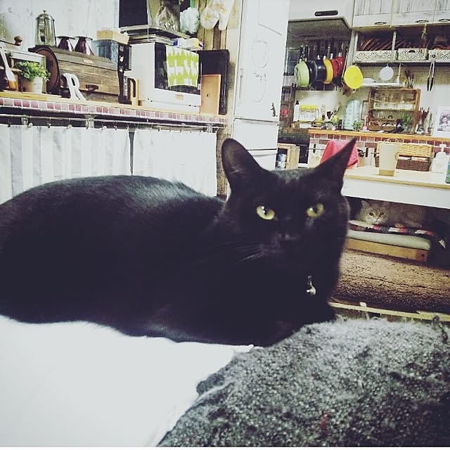 mntcさんの実例写真