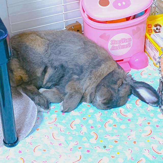 mariaさんの部屋