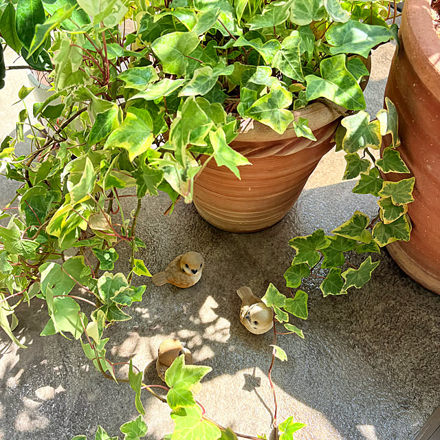 up0524さんの部屋