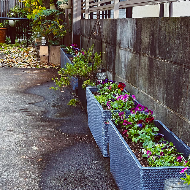 chacoさんの部屋