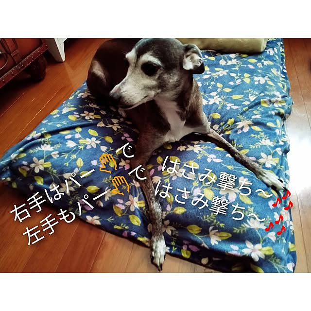 moruさんの部屋