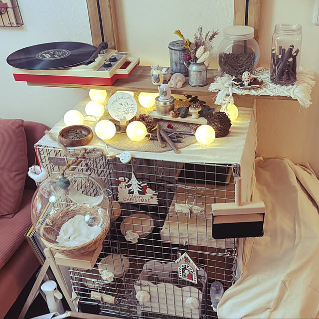 mmppさんの実例写真