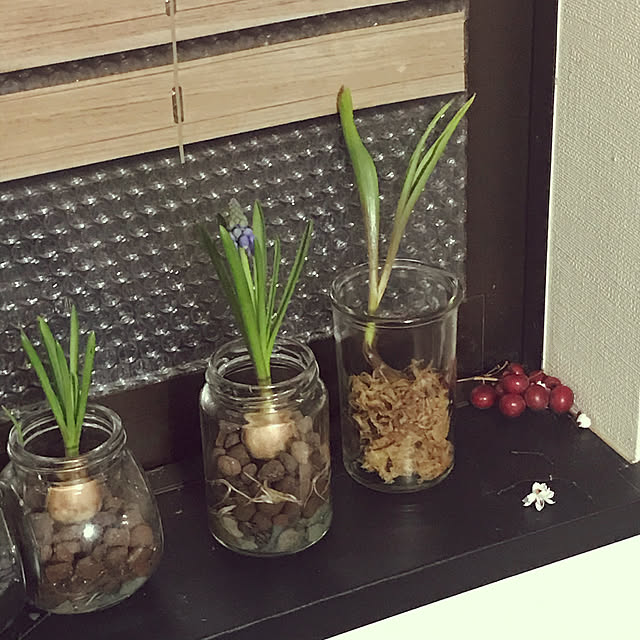 AOIさんの実例写真