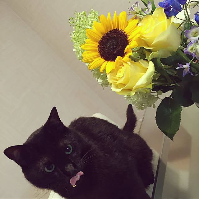 fuminさんの実例写真