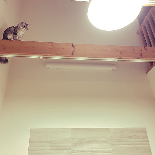 ecopanaさんの実例写真