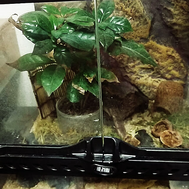 sunflowerさんの実例写真
