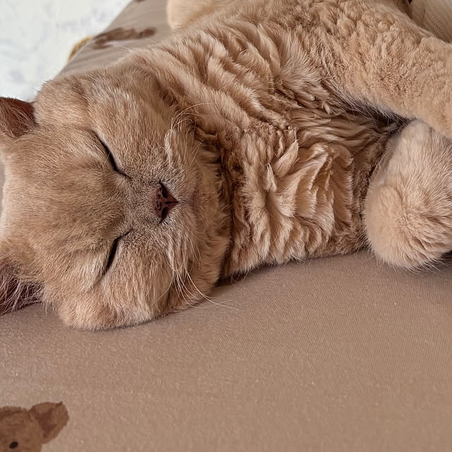 naokoさんの部屋