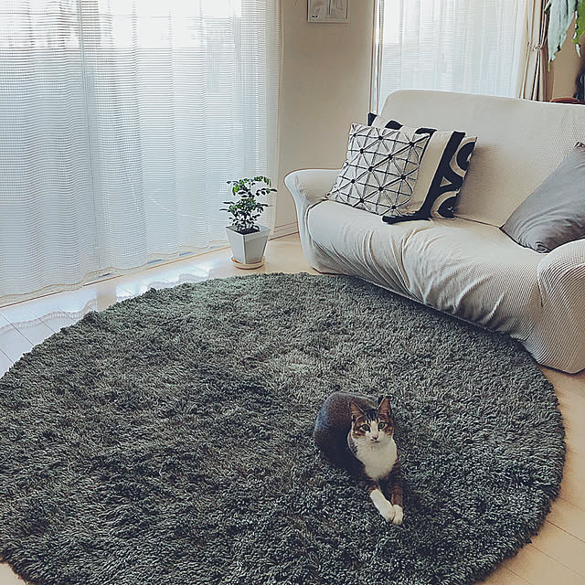 nekomiさんの実例写真