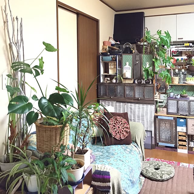 Norikoさんの実例写真