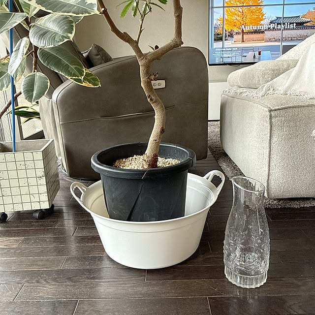 biroballonneさんの部屋