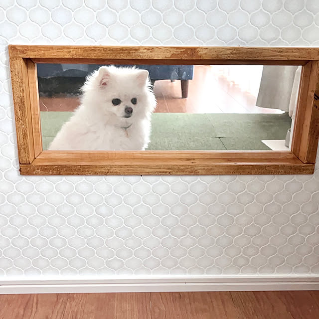 yu_noさんの実例写真