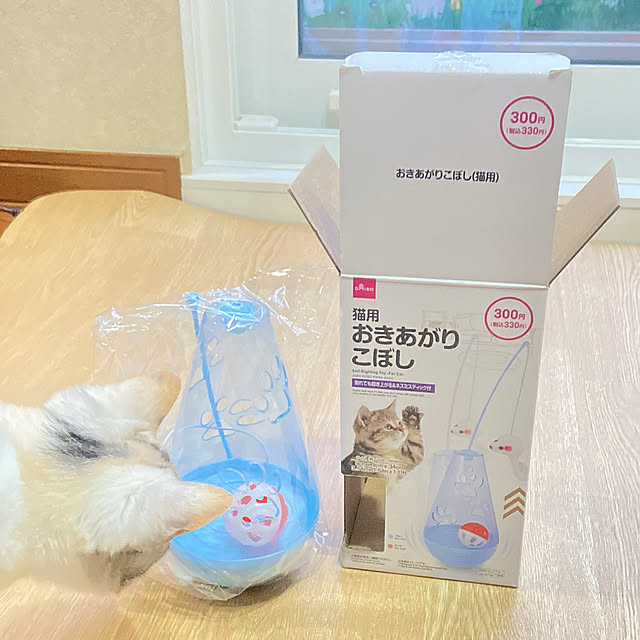 hansho.sさんの部屋