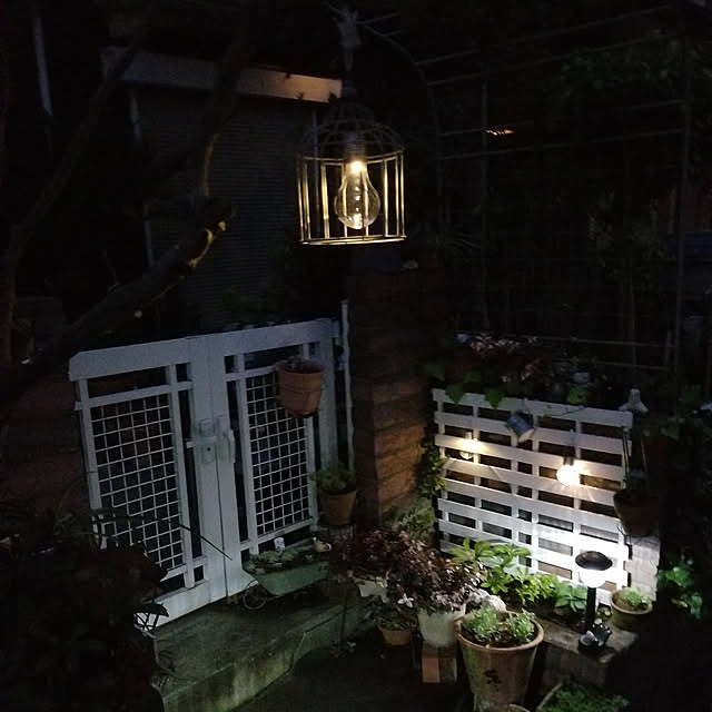 midoriさんの実例写真