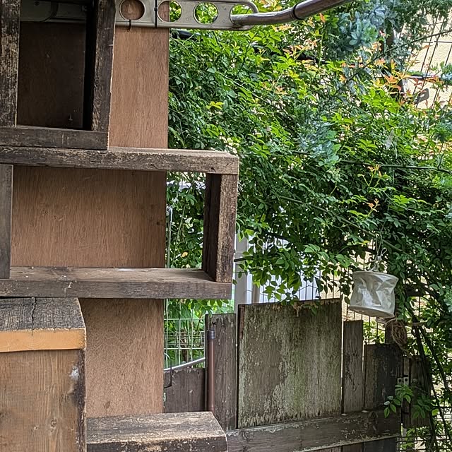 ayuさんの部屋
