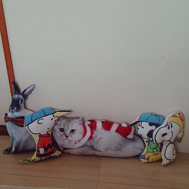 kumikoさんの実例写真