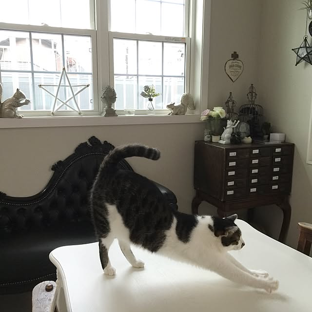yuchiさんの実例写真