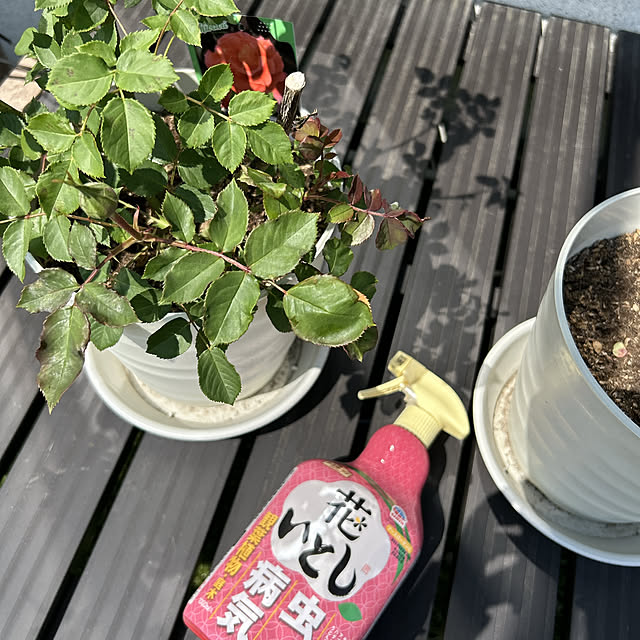 yunyumさんの実例写真