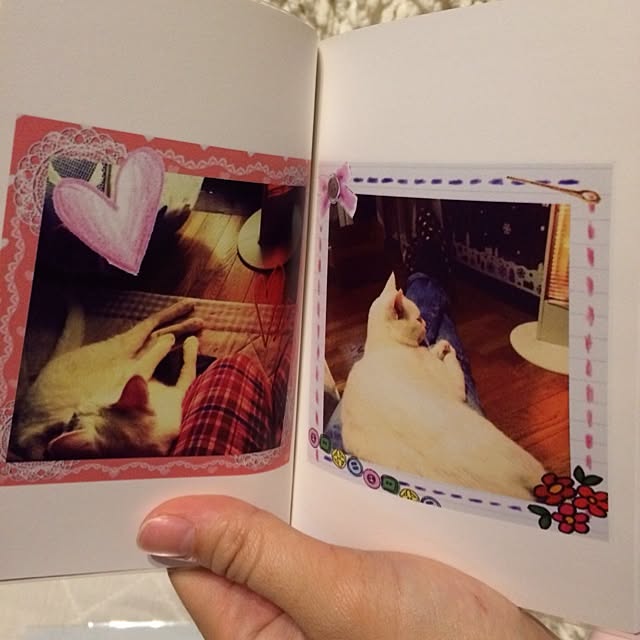 実例写真