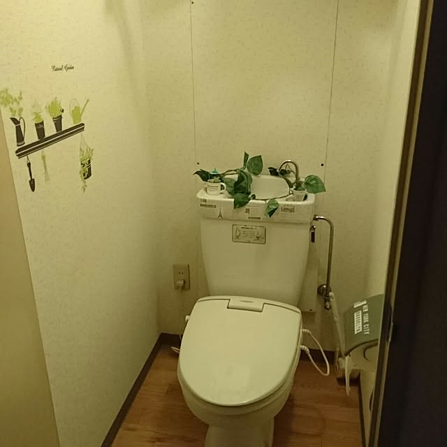 実例写真