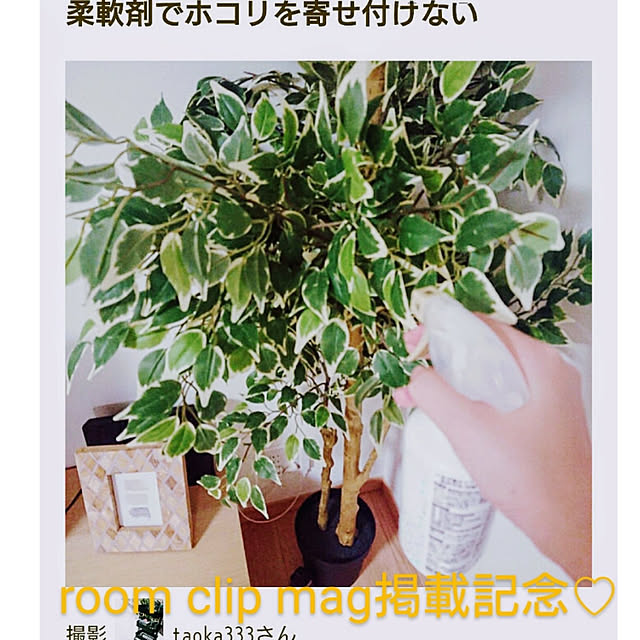 taoka333さんの実例写真