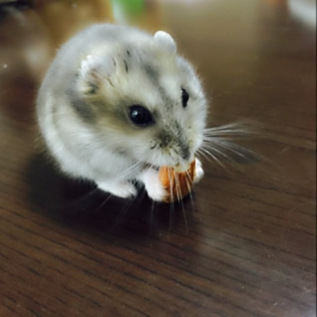 n.a.rさんの実例写真
