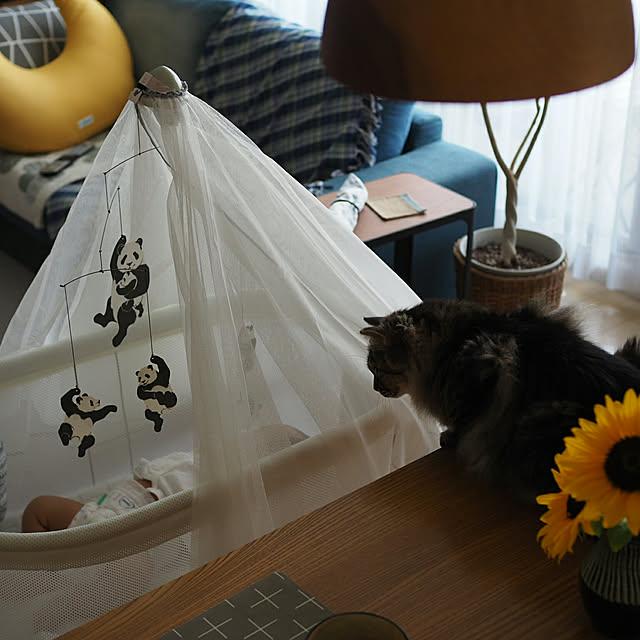 sachiblancさんの実例写真