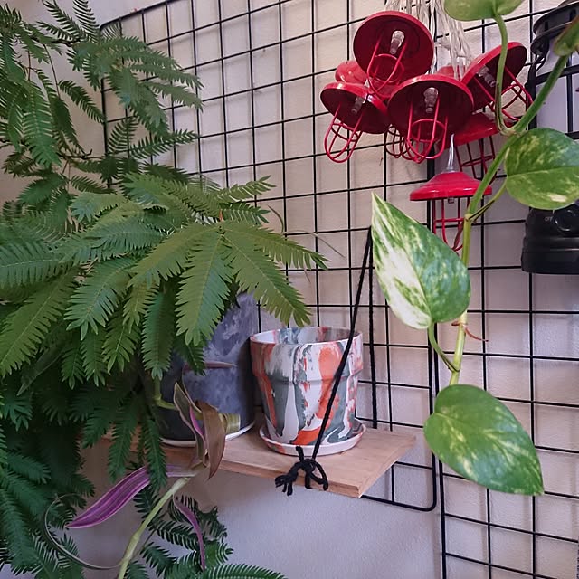 urchinさんの部屋