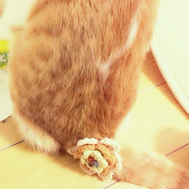 tarochan.さんの実例写真