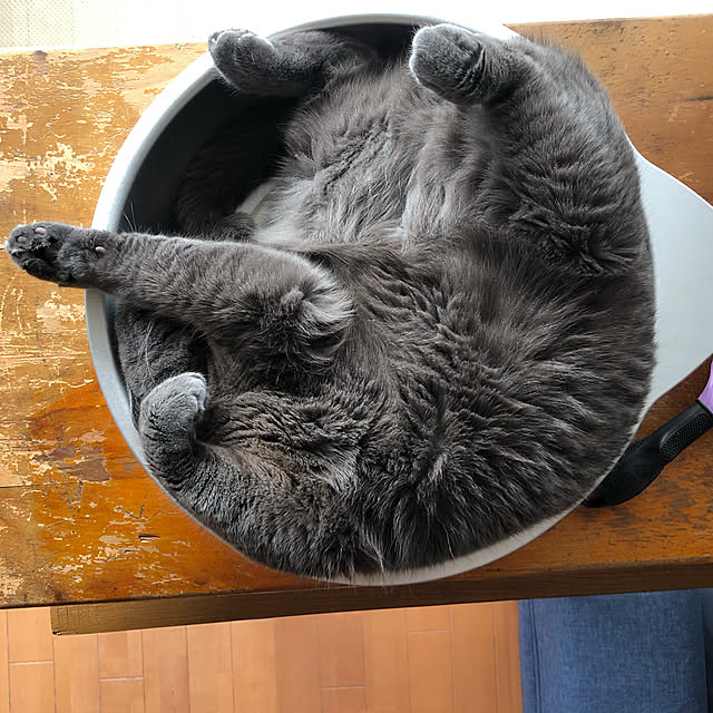 Shojiさんの実例写真