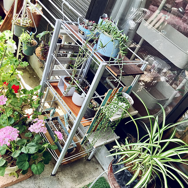 CoCo0617さんの実例写真
