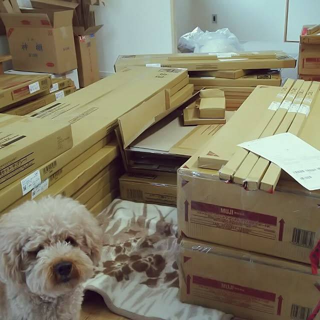 tentenさんの実例写真