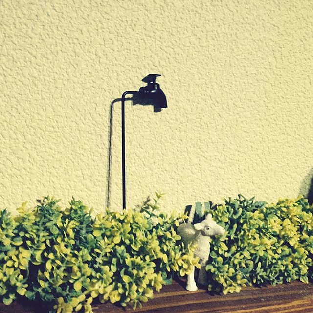 chirol29さんの実例写真