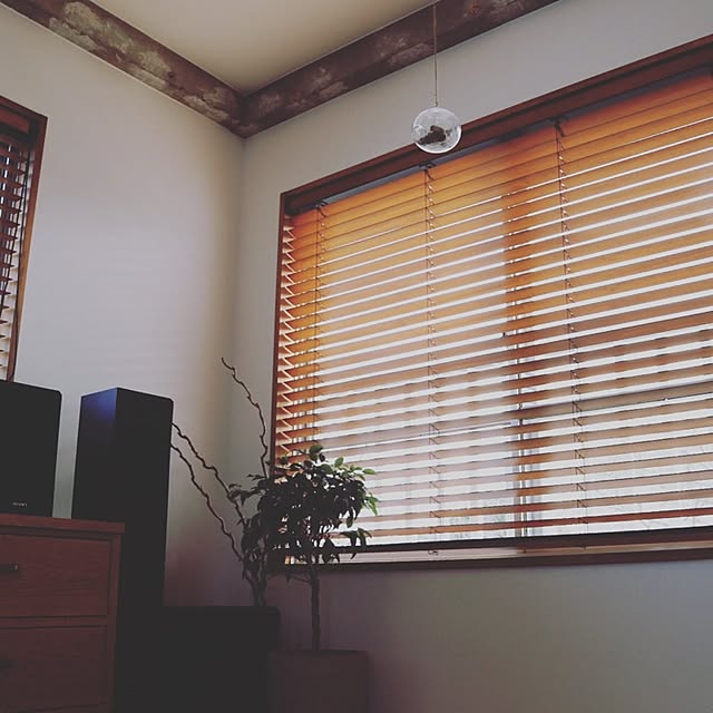 solaさんの実例写真