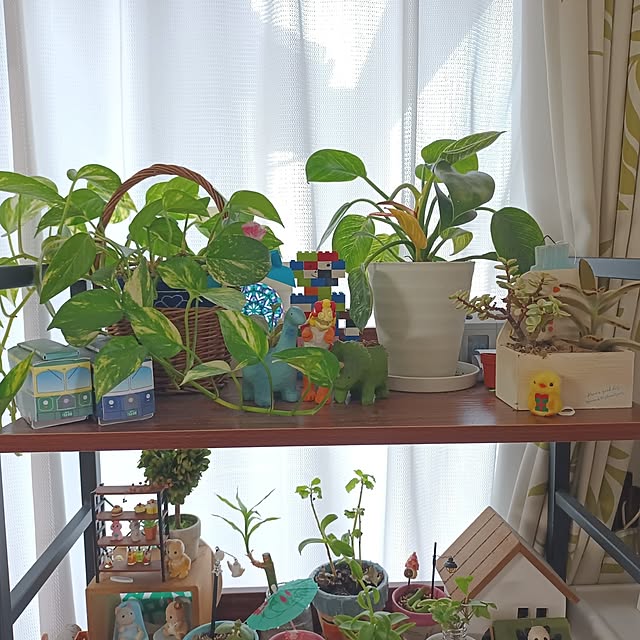 tomo5さんの部屋