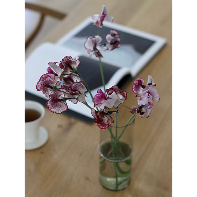 hanatomidorinoheyaさんの部屋